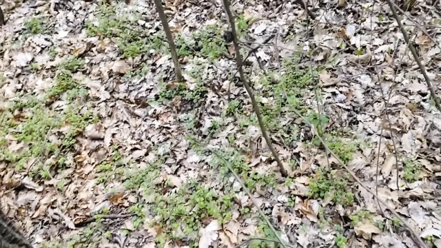 Beyaz genç oğlan açık havada ve saunada boşalıyor