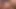 Dildo ile amcığını ovuyor, 5 dakikalık fışkırtma.