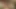 Düz haydutlar mastürbasyon yaparken sikleri için kelepçe kullanırlar