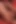 Hot Lesbian Licking Session - Two Sexy German Girls Eat Each Other’s Pussies