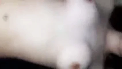 Komsivkata pak kaj mene na ebenje..