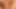 Wir