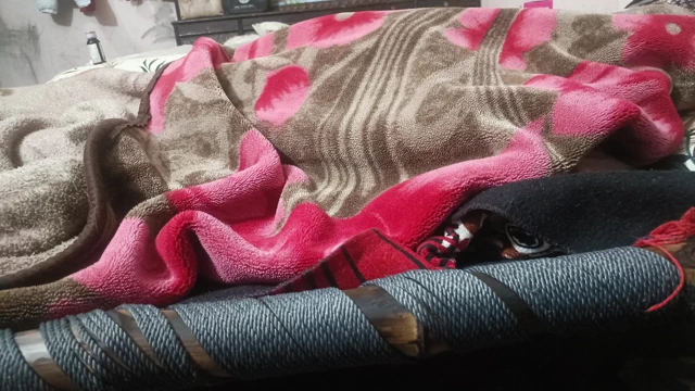 Palang Tood chudai desi yenge