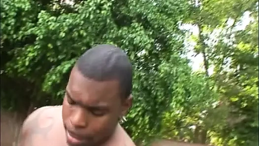 iki abanoz fahişe gelen almanya hoş bir bbc içinde the arka bahçe