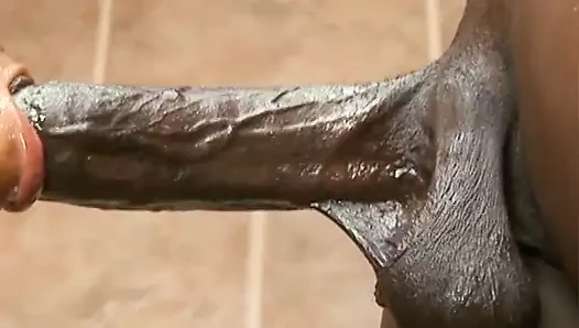 Siyah civciv alma büyük horoz içinde ona am ve içinde ona ağız