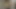 Altın dövüşçünün son aşaması :d