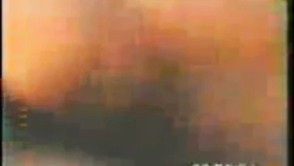 Vietnamca ev videosu