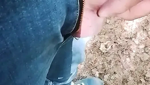Ben ormanda seyir noktaları