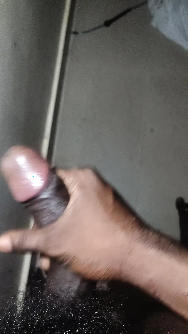 Siyah kıvırcık yarak