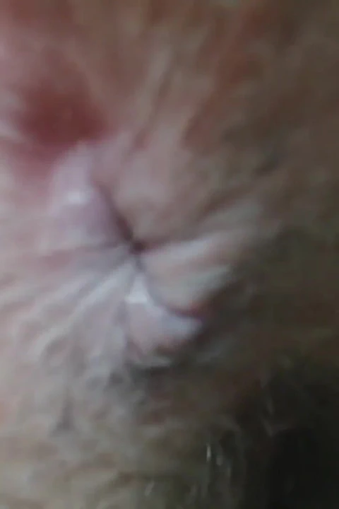 Aşırı yakın çekim kıllı ibadet