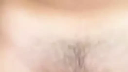 güzel kedi