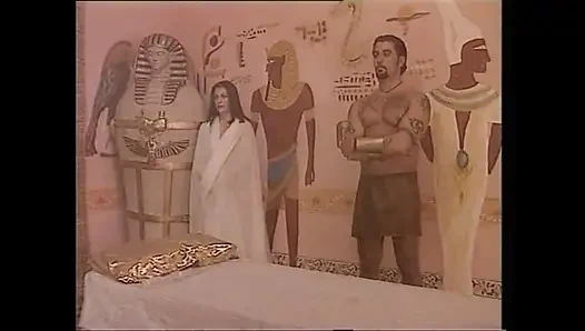 Müzede amcık sikişi