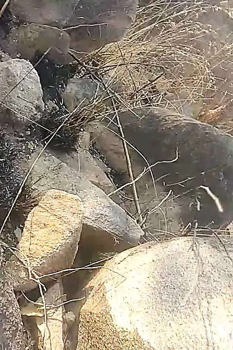 Indian boy masturbation outside