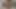 En iyi amatör anal seks videosu. Sapık kız ateşli öğretmenin dölünü yutuyor