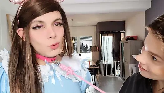 sissy aşağılanmış ve bir köpek gibi havlamak istedi