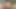 Pawg üst seks pornosu 4
