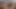 Venus Lux Kayleigh Cox ile iş başında