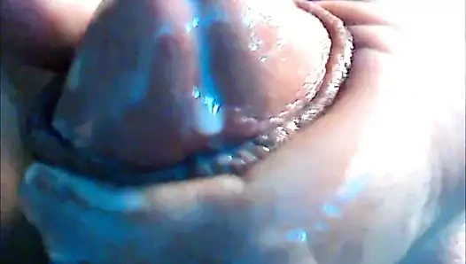 Prostate cum