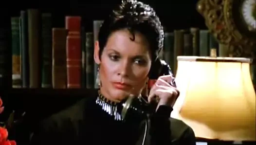 Brazialian Kontes Colt!!