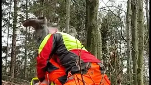 Arbeitskumpel bei der Arbeit im Wald