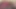 Granny Carmen: Mature Cock Sucker In Fuscia Lingerie 5525CAMS25M