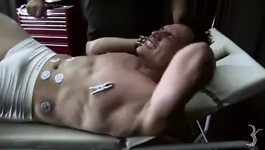 Meme uçları ve keneler