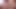 Üç İngiliz kızlarla kedi tıraş fotoğraf çekimi