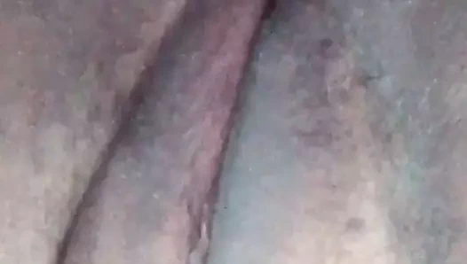 Cerda se golpea la vagina