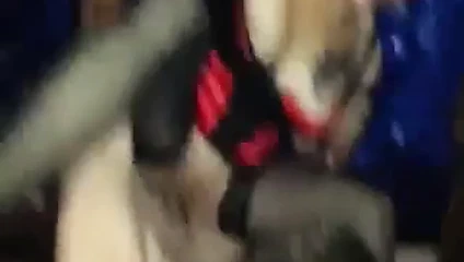 Gözleri bağlı amatör eş becerdin ve yumruklu