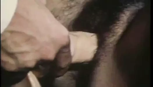 Holmes sekreterin çok kıllı kedi domuzlar