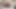 transeksüel porno niclo (15)