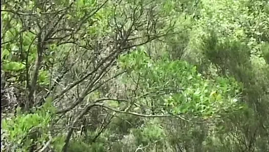 Asha mutluluk - (la donna del destino filminden)