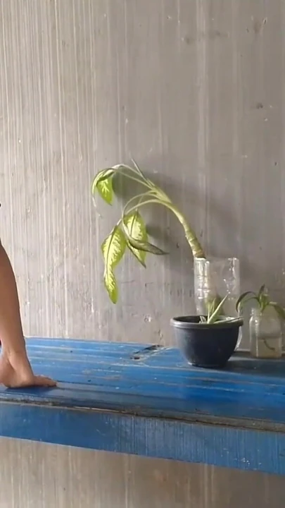 Незабываемый момент из "Я нанял горничную, чтобы очистить мой дом и трахнул ее"