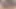 Fakeagentuk harika memeli sevimli Macar bebek swallo'ya bayılıyor