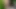 Anushka shetty cumtribute üç kez geri 2 geri cumshots