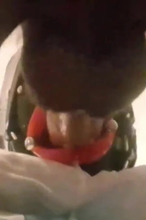 MILF yüzük gag, sahte dudakları ağızda ve yüz yüz halinde, sikiştirilmiş