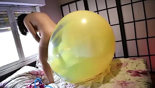 Overinflate ve pop wubble ball - son tur - tavşan looner