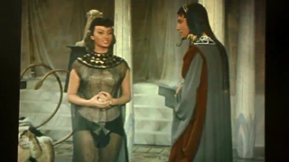 Sofia loren ben yetiştirilen sağma horoz için ona