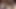 ADAMANDEVE VE LUPO ILE AYAKLARıMLA BOŞAL - 4K FILM