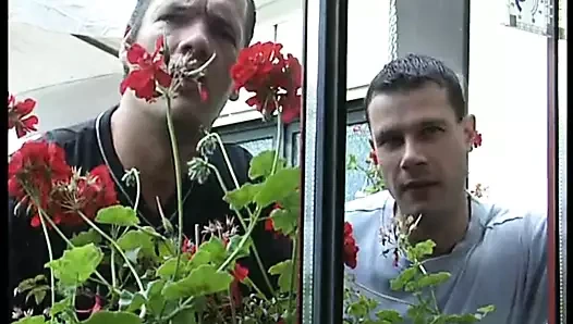 Almanlar çıldırdı