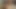 Seksi milf verir genç züppe the sikme arasında onun hayat