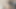 0245 Bir hayran "büyük oğlanı bir sandalyeye bağlayın ve onu edge" diye sordu ve bu 2 'i yaptık (OnlyFans'tan tam sürüm)