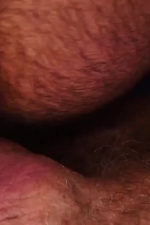 Bearfilms dilf Dallas Steele breeds hairy bear atlas grant