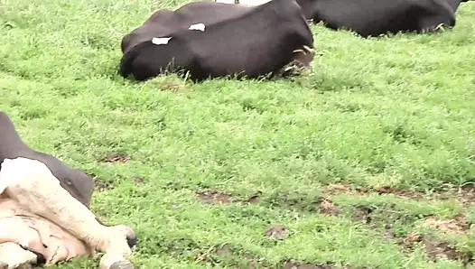 benim sıcak alman karım!!! - deneyim #05