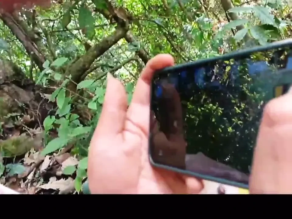 Nepali Girl Enjoying with her husbands.jungle ma magal