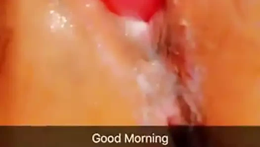 Kremsi kedi oyun içinde the sabah