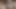 1624983309