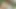 Lucy Thai anal seks ve çifte penetrasyon içeren açık havada üçlü grup seks fotoğraf çekimine katılıyor