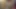 Dört seksi kızla striptiz yüksek kart heyecanlı bir oyun