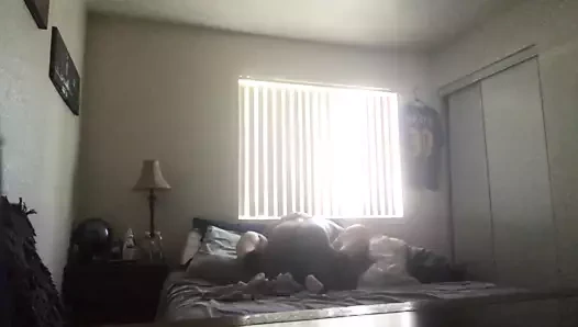 kalın Latin yayıldı geniş